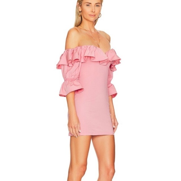 NWT Camila Coelho Violet Mini Dress in Baby Pink Size Small - Picture 2 of 12
